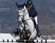 El Daham Pepperpot TosTour2013- S5 2810 : Arezzo, Arezzo Equestrian Centre, El Dahan Sameh, Pepperpot, Toscana Tour 2013, foto di Stefano Secchi ©